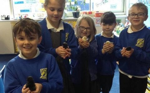 An egg-citing term indeed!