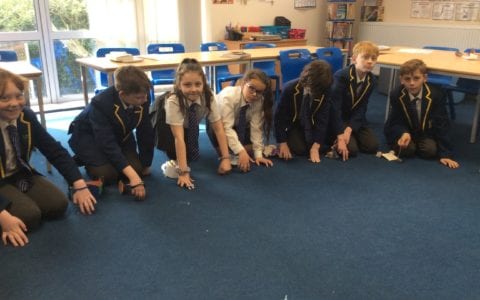 Roman chariot racing