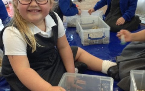 Explorers turn paleontologists