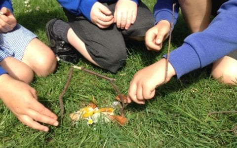 Reception pupils create insect dens
