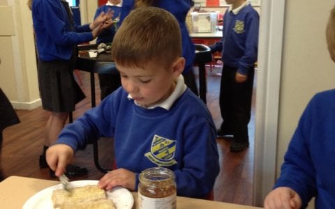 Explorers give learning about bees a sticky thumbs up!