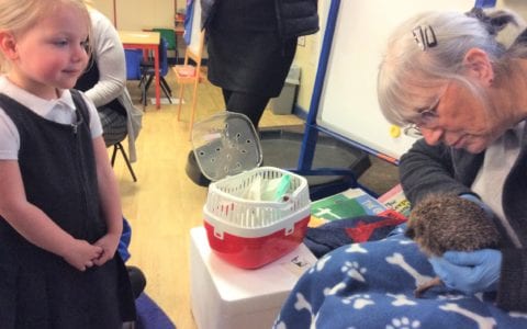 Nursery pupils enjoy Hedgehog Rescue visit