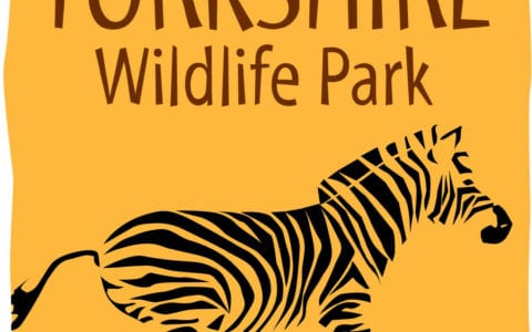 Year 6 trip to Yorkshire Wildlife Park
