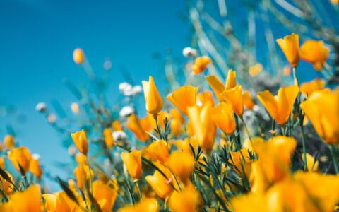 Newsletter - 11 March 2022