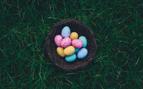 Newsletter - 1 April 2022