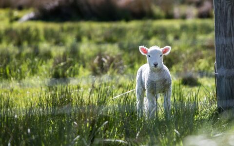 Newsletter - 22 April 2022