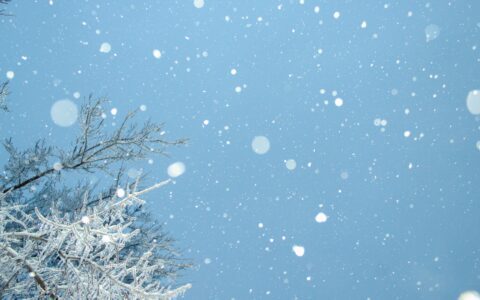 Newsletter - 9 December 2022
