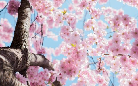 Newsletter - 24 March 2023