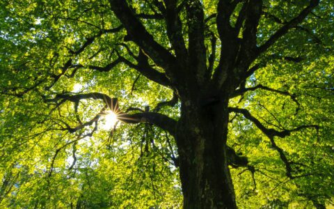 Newsletter - 22 September 2023