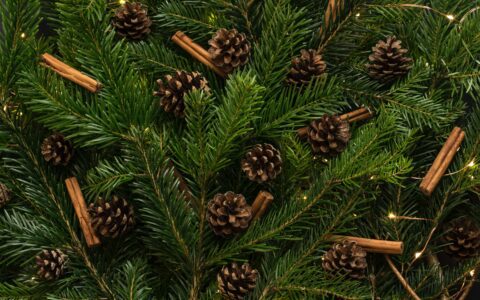 Newsletter - 8 December 2023