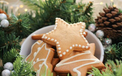 Newsletter - 21 December 2023