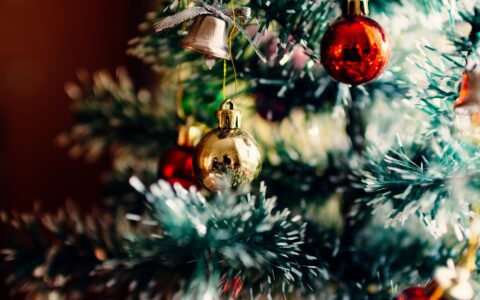 Newsletter - 15 December 2023