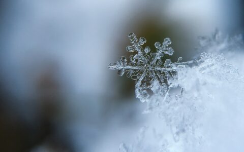 Newsletter - 19 January 2024