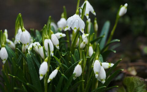 Newsletter – 2 February 2024