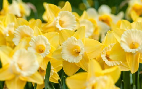Newsletter – 1 March 2024