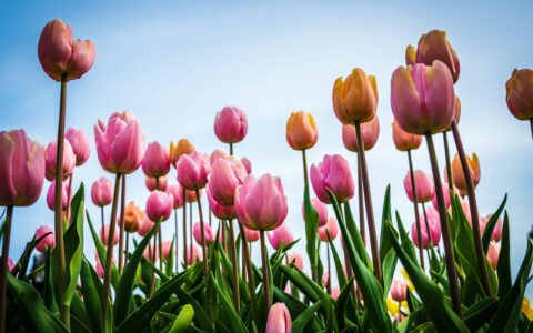 Newsletter – 19 April 2024