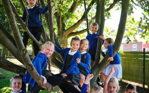 Volunteer as a governor